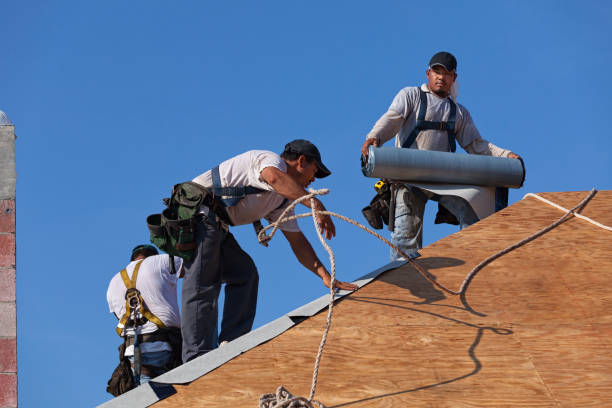 Best Gutter Installation and Roofing  in Elmer, NJ